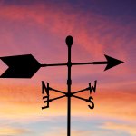Weather vane, illustrating the shifting wind.