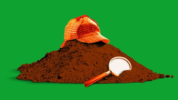 A pile of dirt with a detective hat and magnifying glass on top.