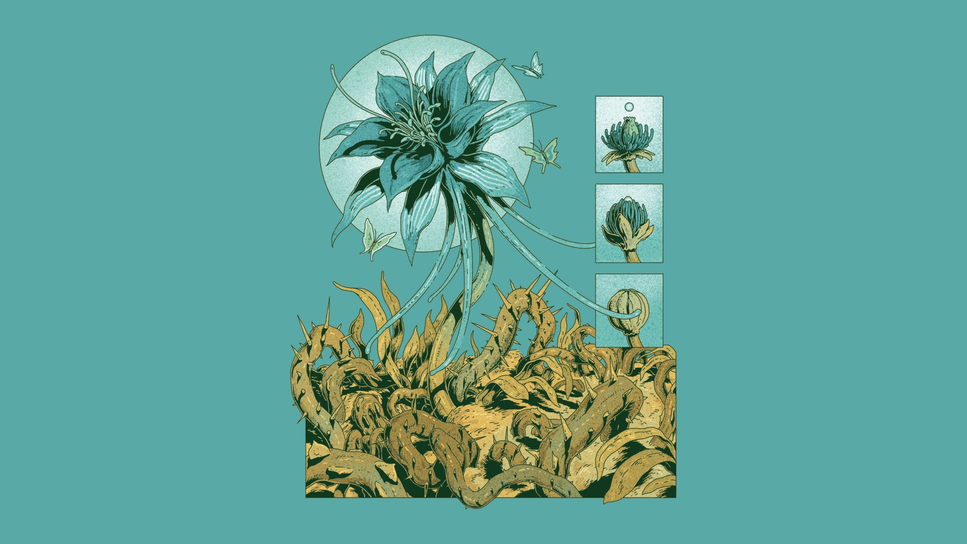 Flower growing among thorns