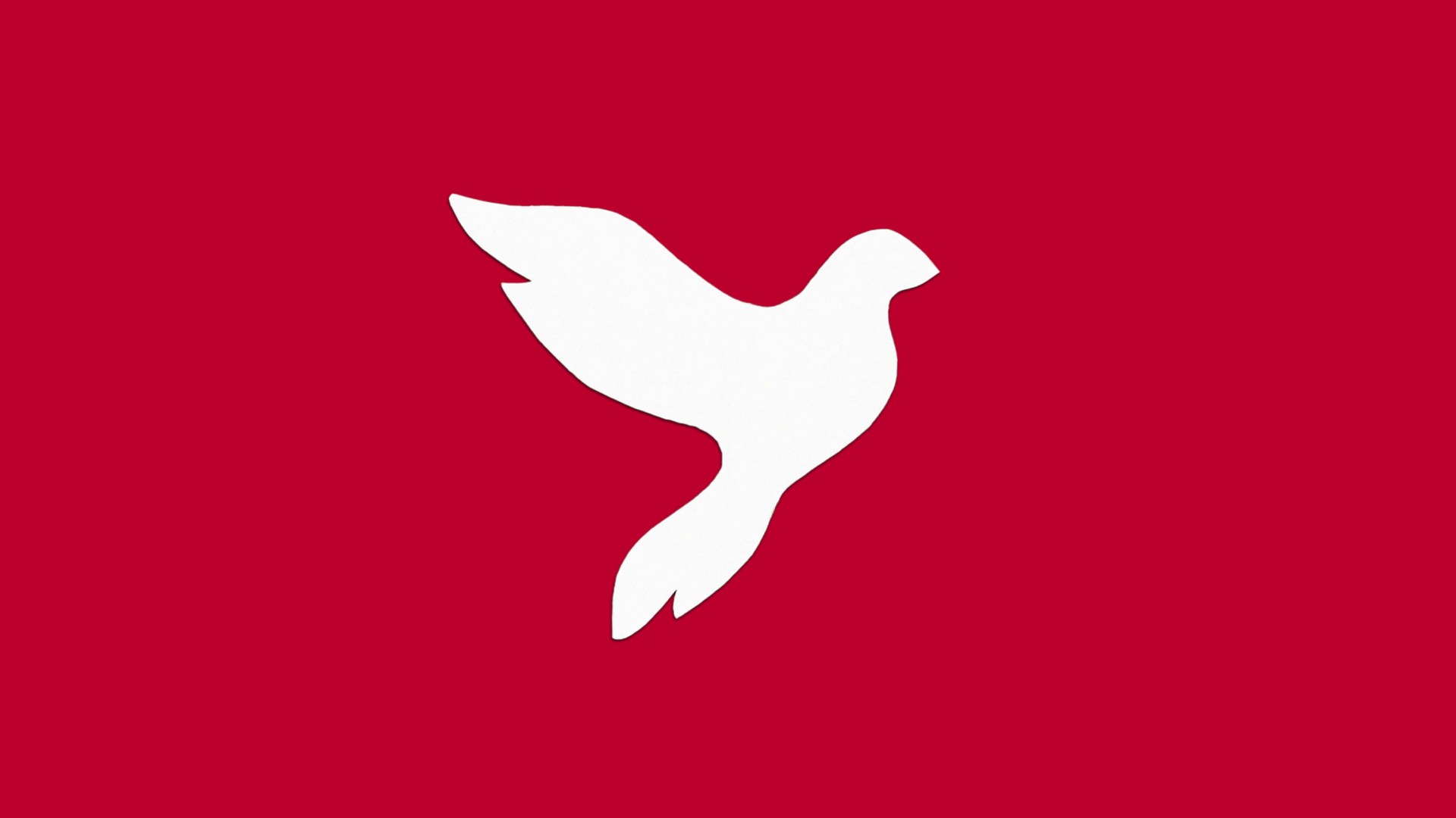 A dove on a red background