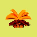 A campfire where the flames are made of a Bible