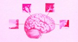 A brain full of beautiful images and a picture of Jesus.