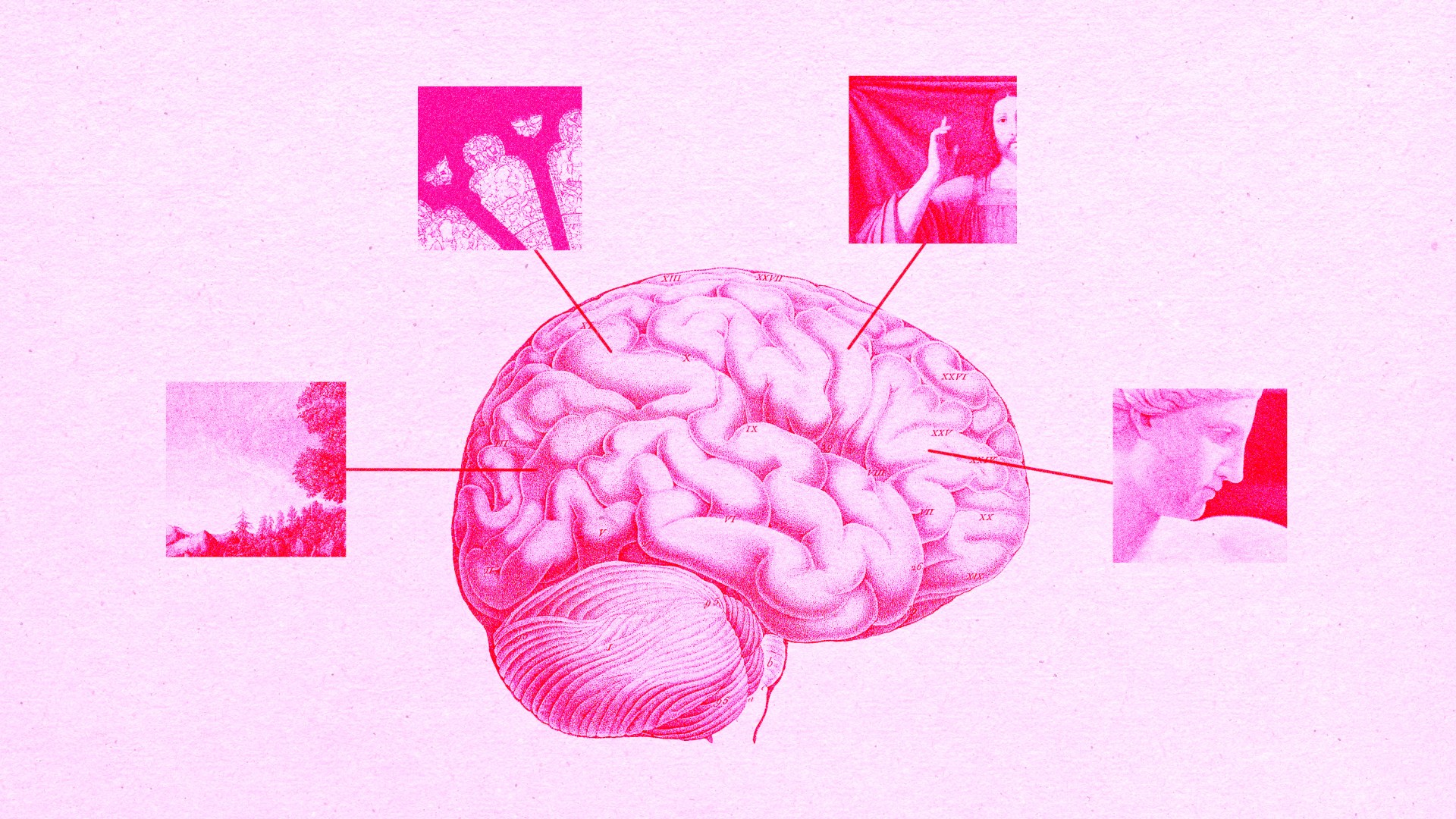 A brain full of beautiful images and a picture of Jesus.