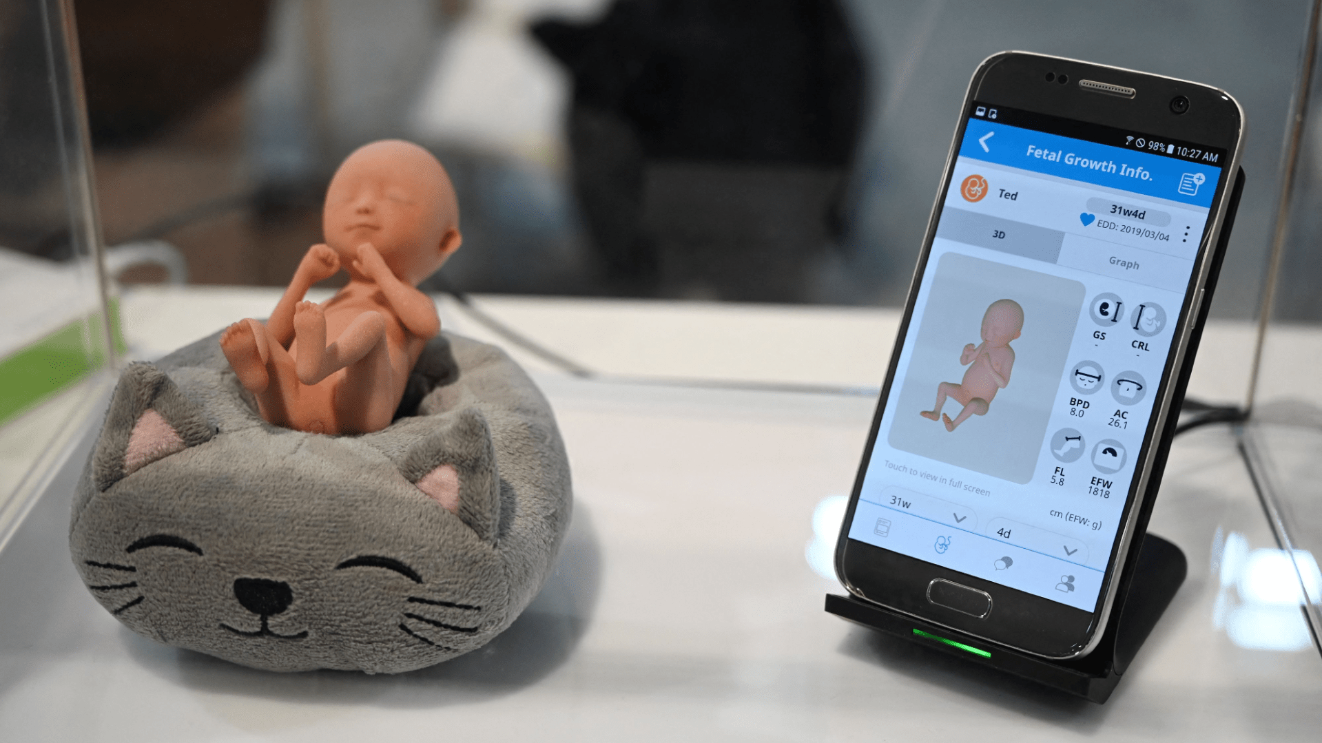 Model and digital representation of an unborn child