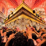 Shiite Muslim devotees reach to receive a blessing from the tomb of Imam Hussein, the Prophet Mohammed's grandson, at the Imam's shrine in the holy city of Karbala, Iraq.