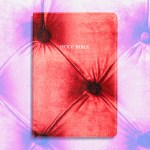 A Bible with a soft cushion texture.