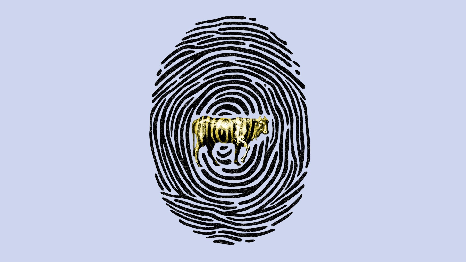 A fingerprint with a golden calf in it.
