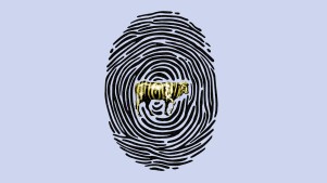 A fingerprint with a golden calf in it.