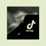 A person holding a phone with TikTok open in front of an American flag.