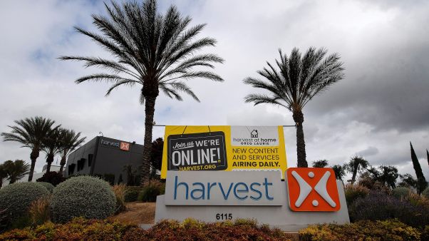 sign for harvest with palm trees