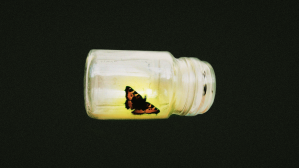 A glowing butterfly trapped in a jar.