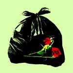 Wilted roses in a trash bag.