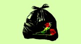 Wilted roses in a trash bag.