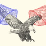 A bald eagle with a red net and a blue net.