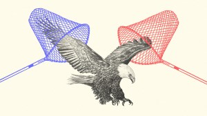 A bald eagle with a red net and a blue net.