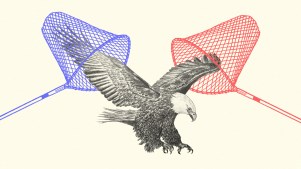 A bald eagle with a red net and a blue net.