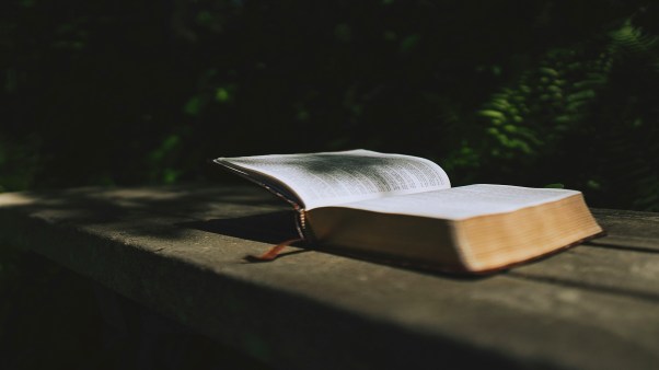 An open Bible