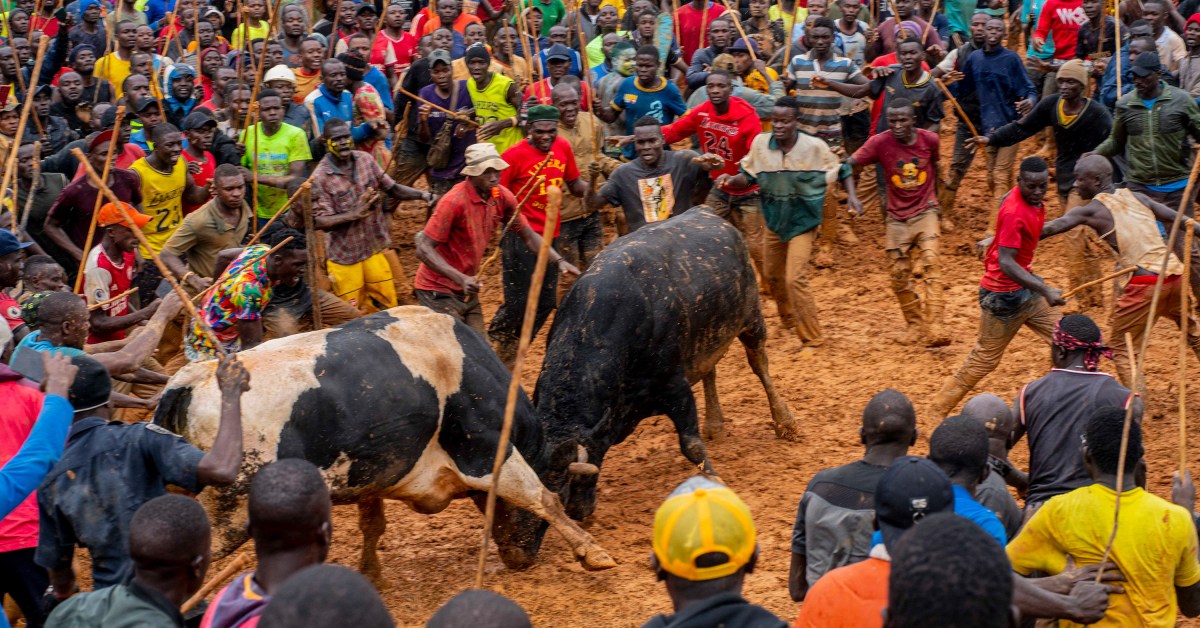 Kenyan Churches Compete with Bullfights on Sunday Morning