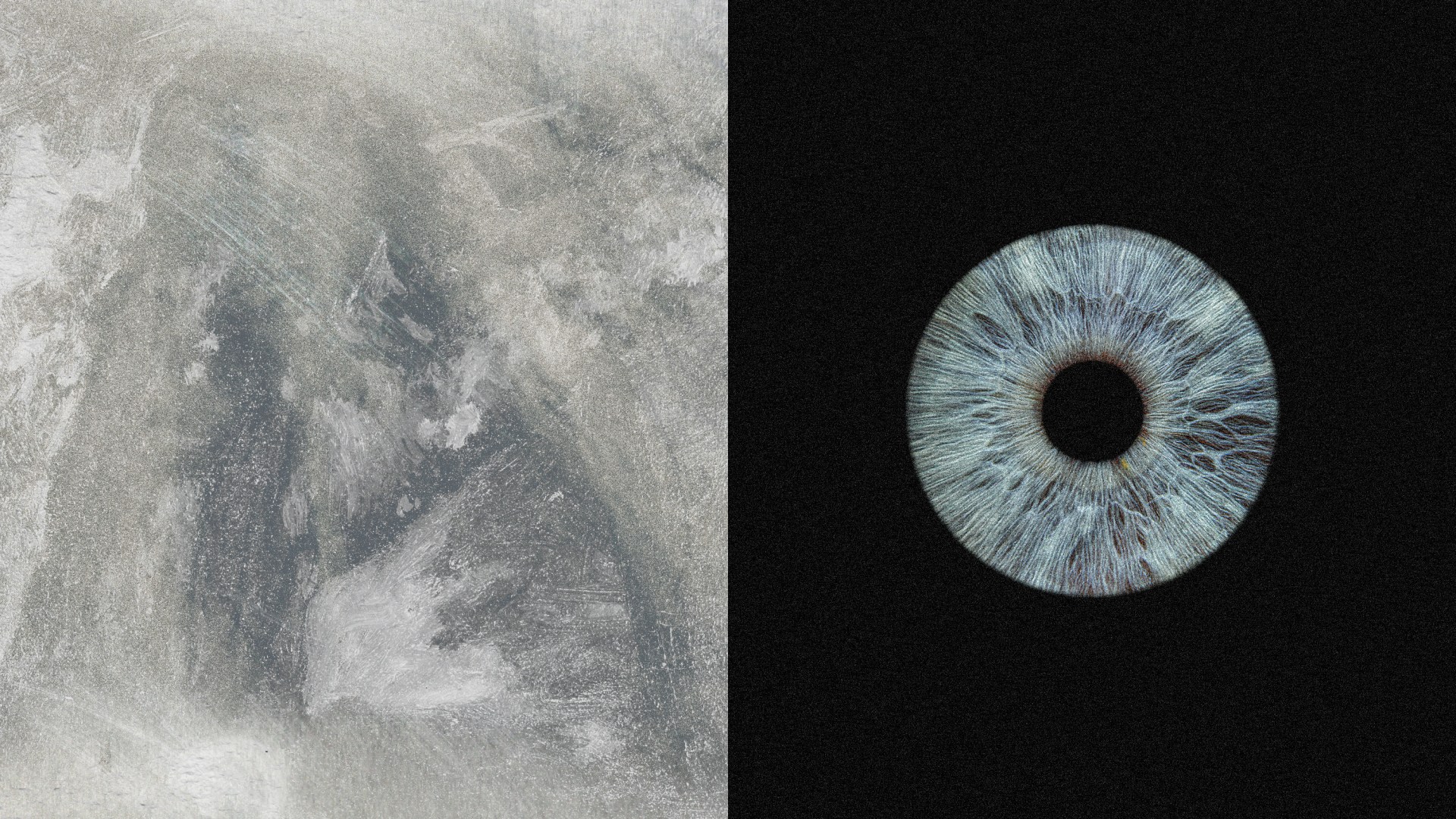 An eye and an artist's canvas.