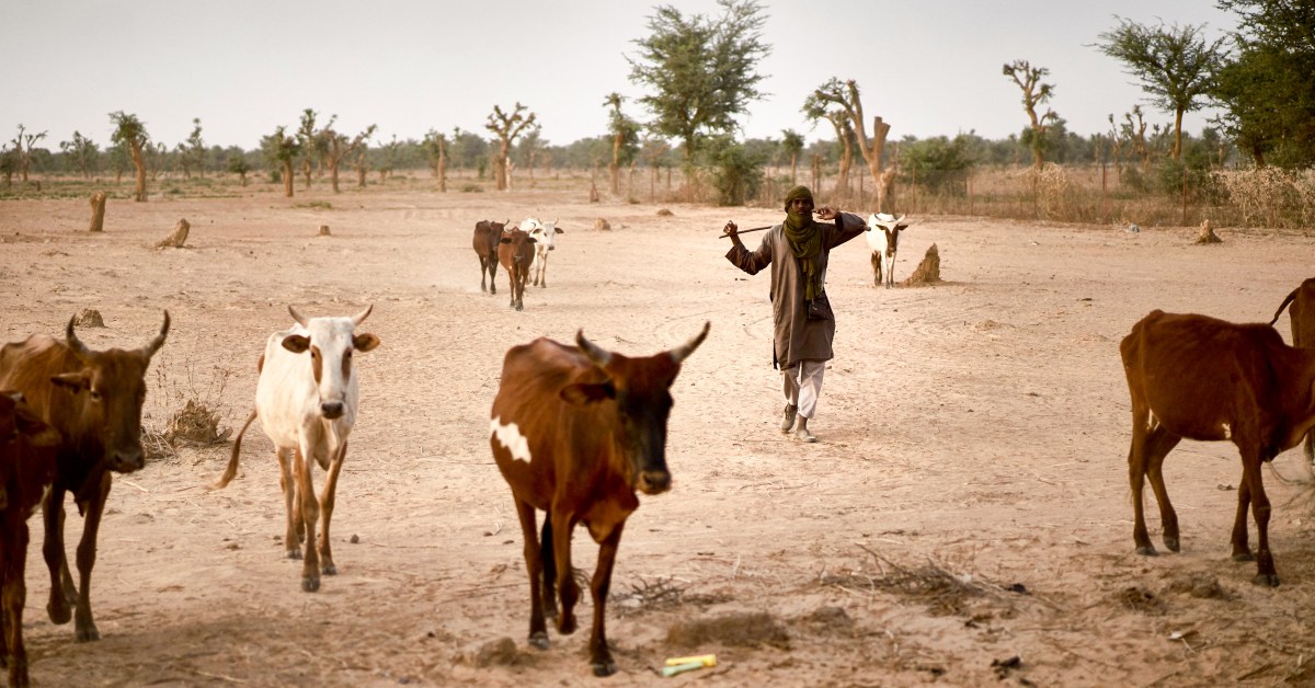 Fighting in Nigeria Leaves Christian Converts Exiled