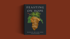 The book on an orange background.