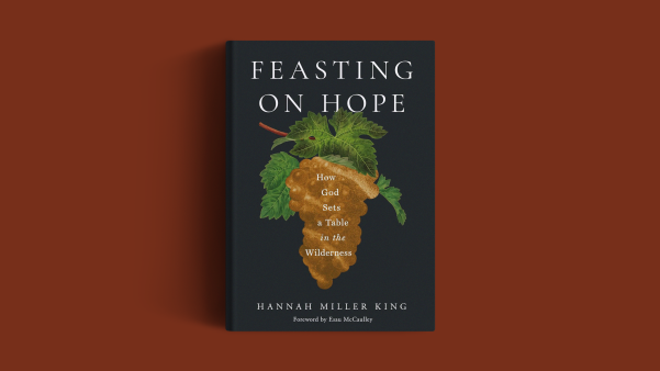 The book on an orange background.