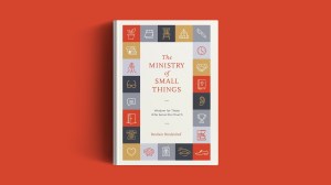 The book on an orange background.