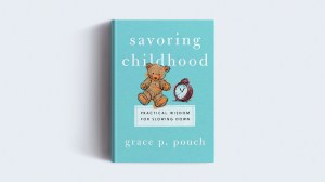 The book on a gray background.