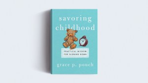 The book on a gray background.