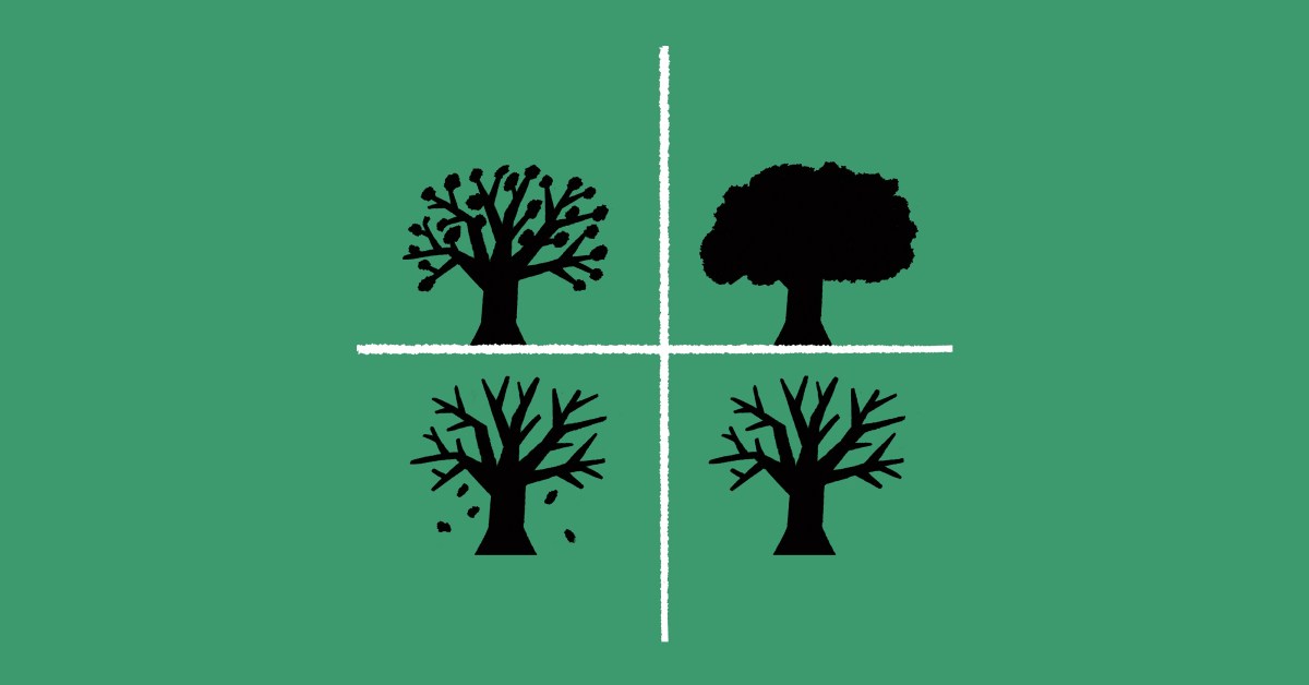 Birth and Death are...