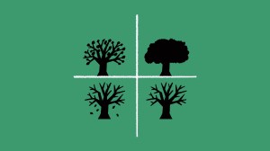 Illustration of four tree silhouettes showing different seasonal stages in a grid.