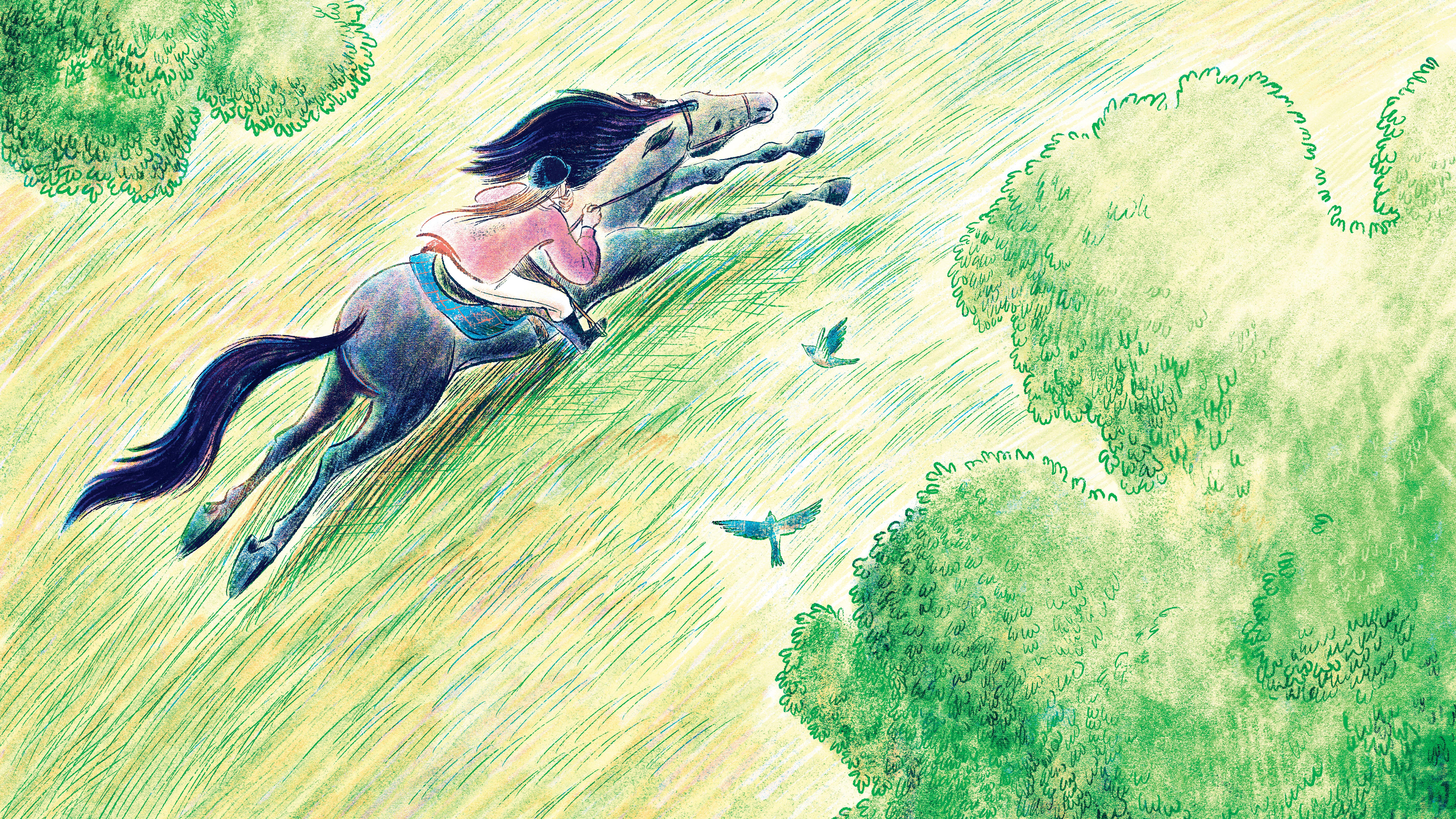 Person riding a galloping horse across a grassy field with birds flying nearby.