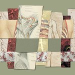 Interwoven pieces of paper with illustrations of the body.