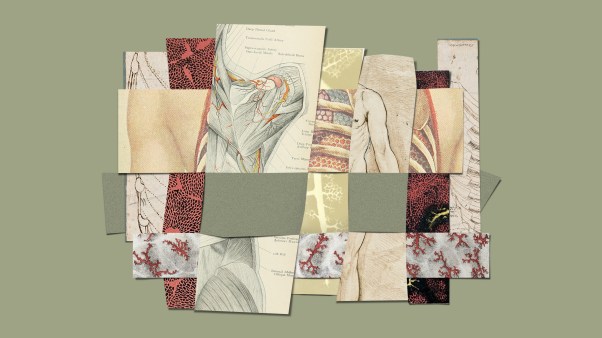Interwoven pieces of paper with illustrations of the body.