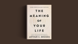 The book on a brown background.