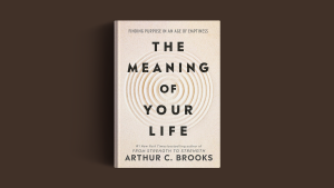 The book on a brown background.