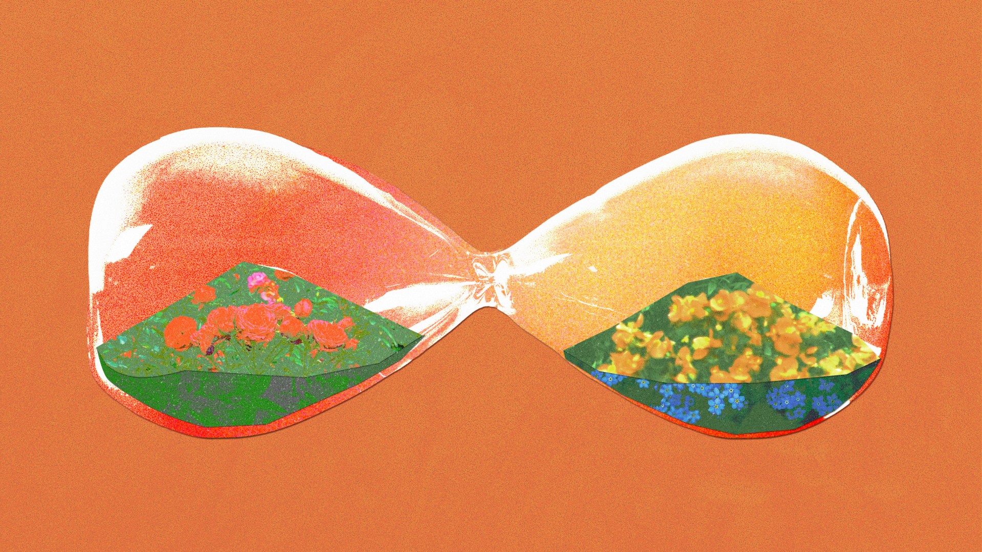 An hourglass on its side with flowers growing inside it.