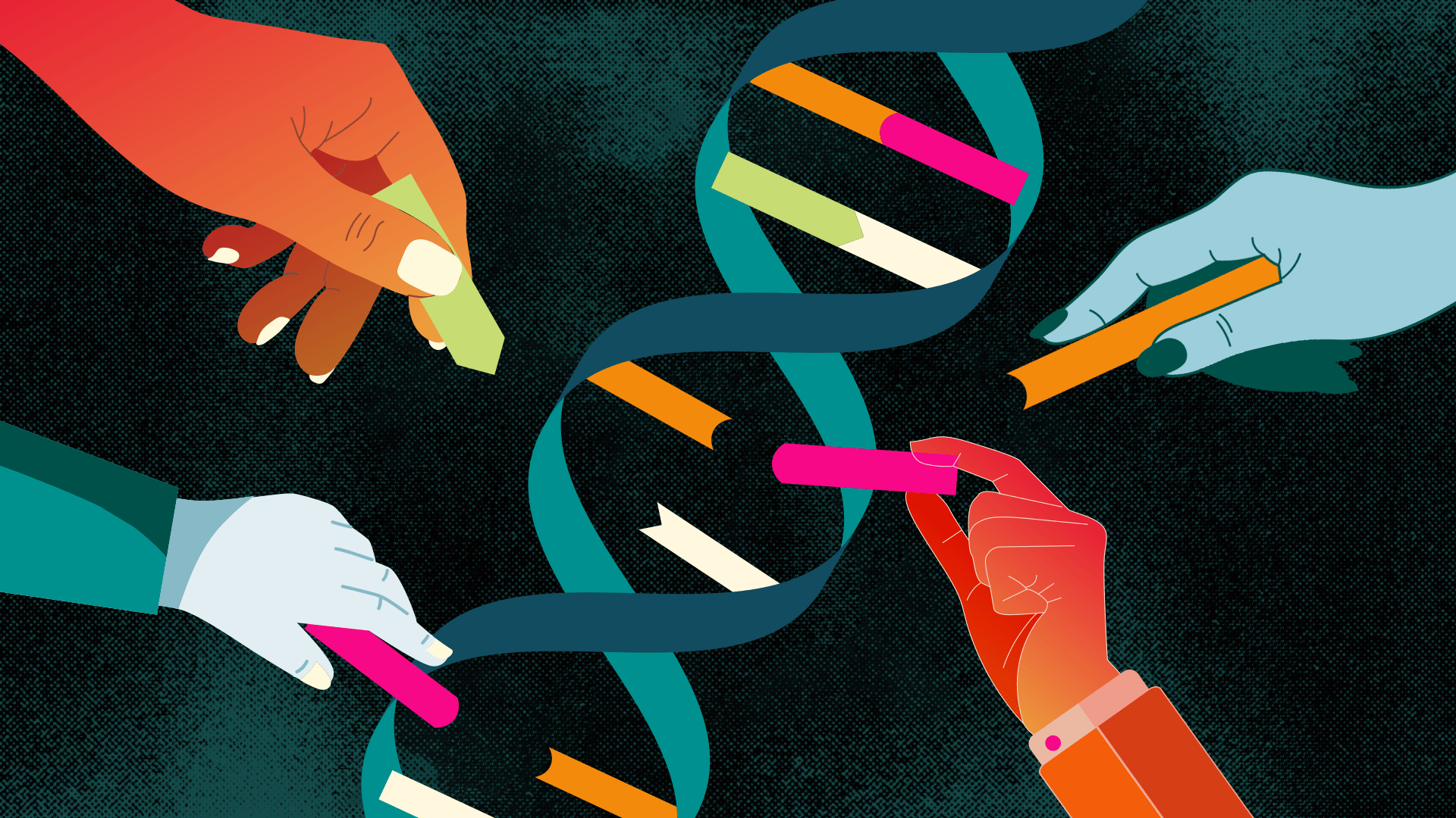hands building a DNA strand