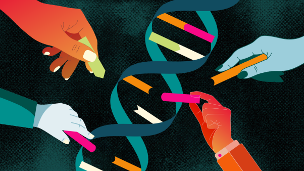 hands building a DNA strand