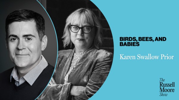 karen-swallow-prior-birds-bees-babies