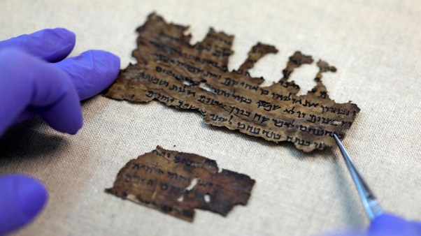 A conservator of the Israel Antiquities Authority (IAA) shows fragments of the Dead Sea Scrolls.