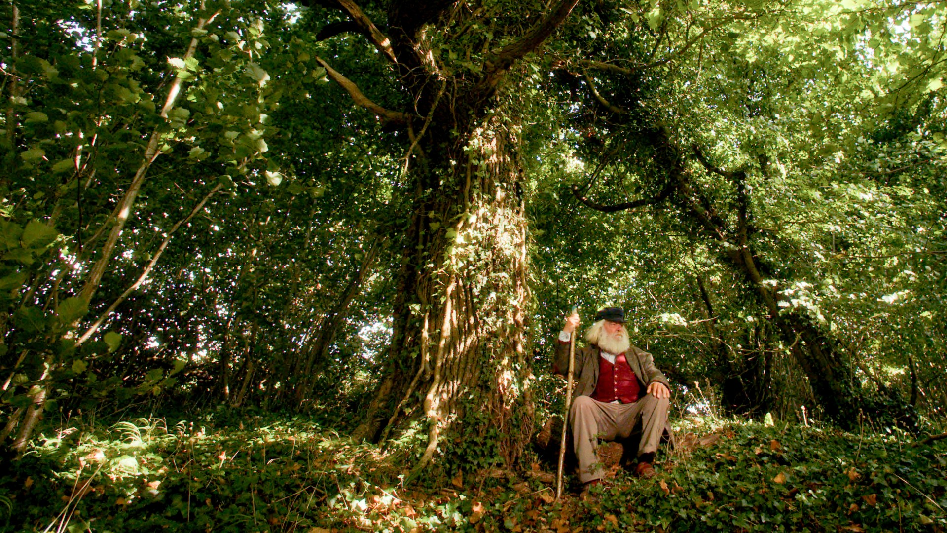 Malcolm Guite sitting by a tree.