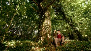 Malcolm Guite sitting by a tree.