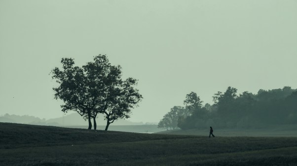 A woman walking alone through an open field
