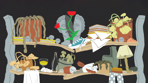 Colorful illustration of cluttered shelves filled with wilting potted plants, a cracked classical bust, scattered books, a sneaker, a wine glass, and various household items against a black background.